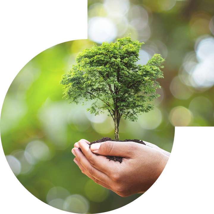 關懷人類、文化、環境與社會